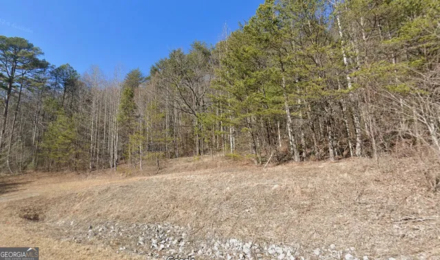 a view of dirt yard with a large tree