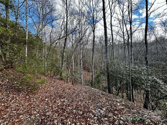 $53,000 | Lot 47 North Nickajack Road, Unit 47, Franklin, NC 28734