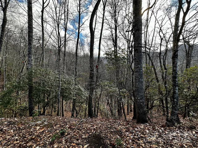 $53,000 | Lot 47 North Nickajack Road, Unit 47, Franklin, NC 28734