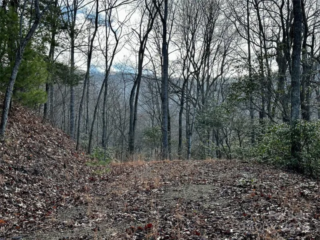 $53,000 | Lot 47 North Nickajack Road, Unit 47, Franklin, NC 28734