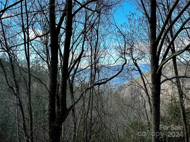 $53,000 | Lot 47 North Nickajack Road, Unit 47, Franklin, NC 28734