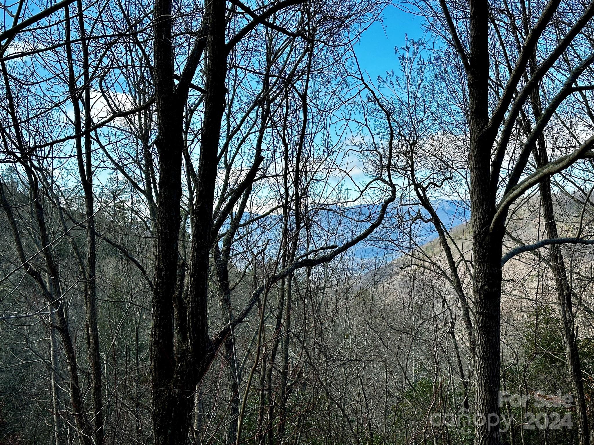 Lot 47 North Nickajack Road, Unit 47 Franklin, NC 28734 - Photo 15 of 26