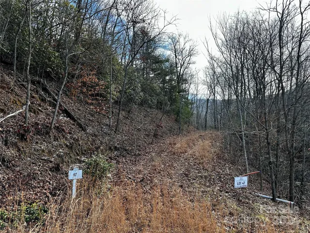$53,000 | Lot 47 North Nickajack Road, Unit 47, Franklin, NC 28734