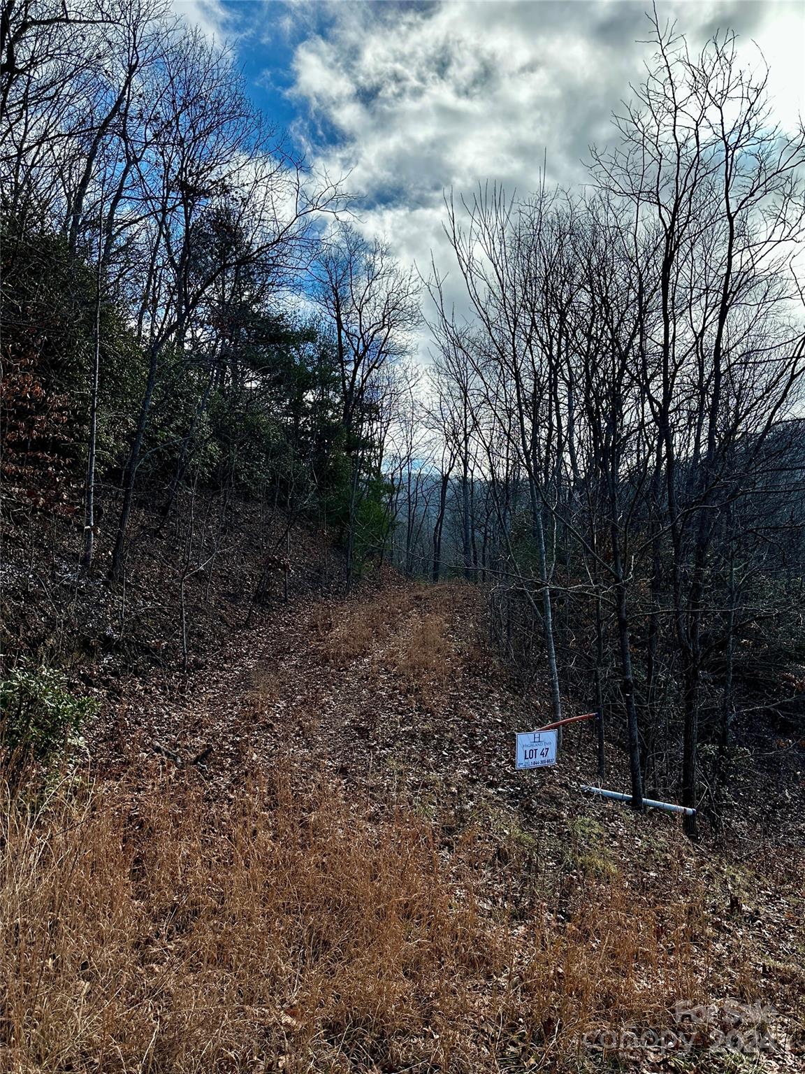 Lot 47 North Nickajack Road, Unit 47 Franklin, NC 28734 - Photo 5 of 26