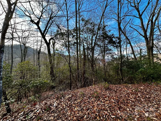 $53,000 | Lot 47 North Nickajack Road, Unit 47, Franklin, NC 28734