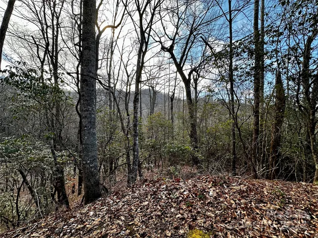 $53,000 | Lot 47 North Nickajack Road, Unit 47, Franklin, NC 28734