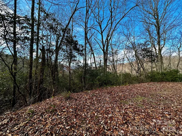 $53,000 | Lot 47 North Nickajack Road, Unit 47, Franklin, NC 28734