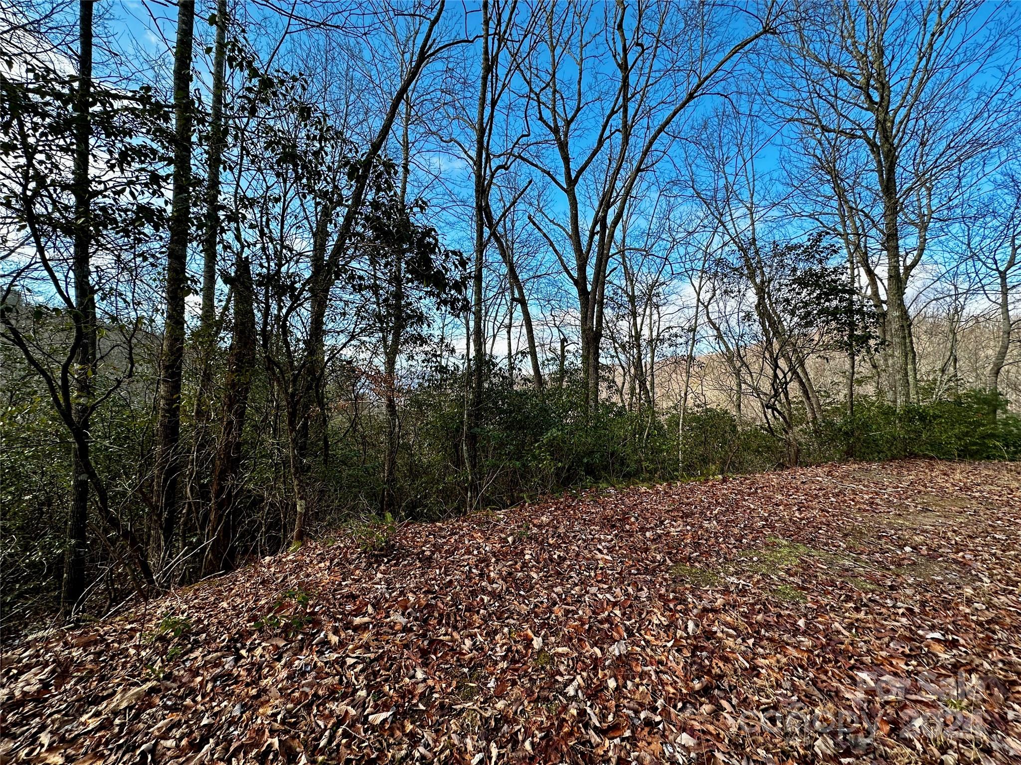 Lot 47 North Nickajack Road, Unit 47 Franklin, NC 28734 - Photo 8 of 26