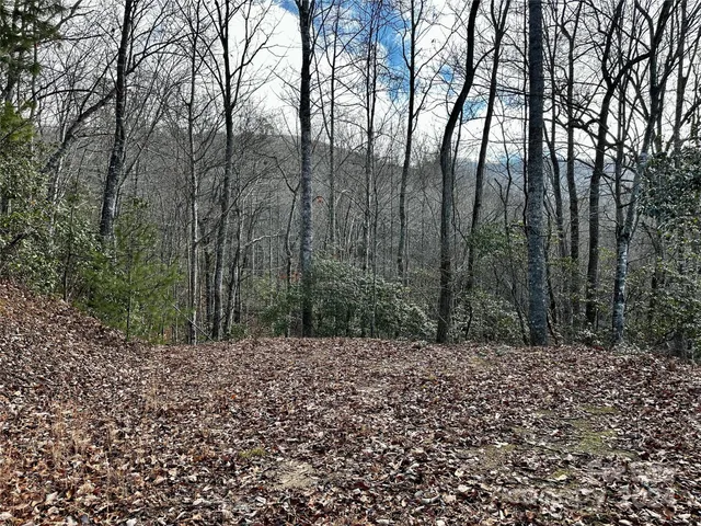 $53,000 | Lot 47 North Nickajack Road, Unit 47, Franklin, NC 28734