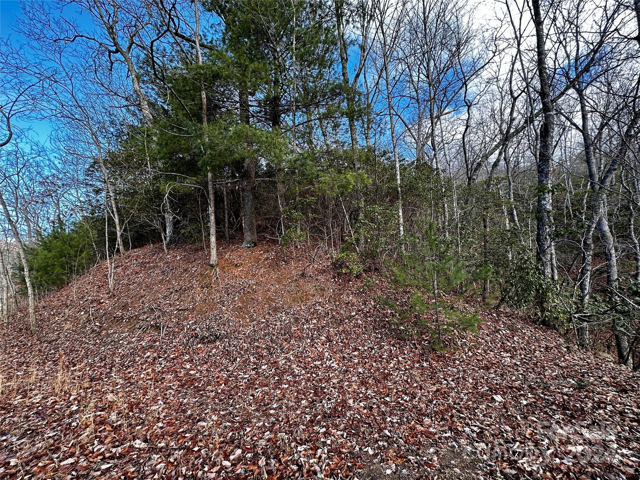 Lot 47 North Nickajack Road, Unit 47 Franklin, NC 28734 - Photo 10 of 26