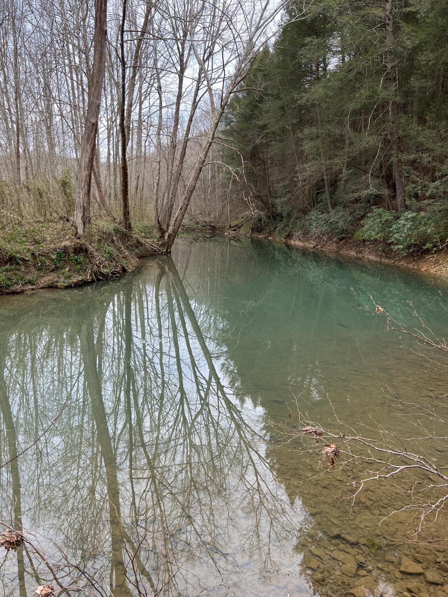 999 Raccoon Creek Road McKee, KY 40447 - Photo 3 of 22 IMG_0974