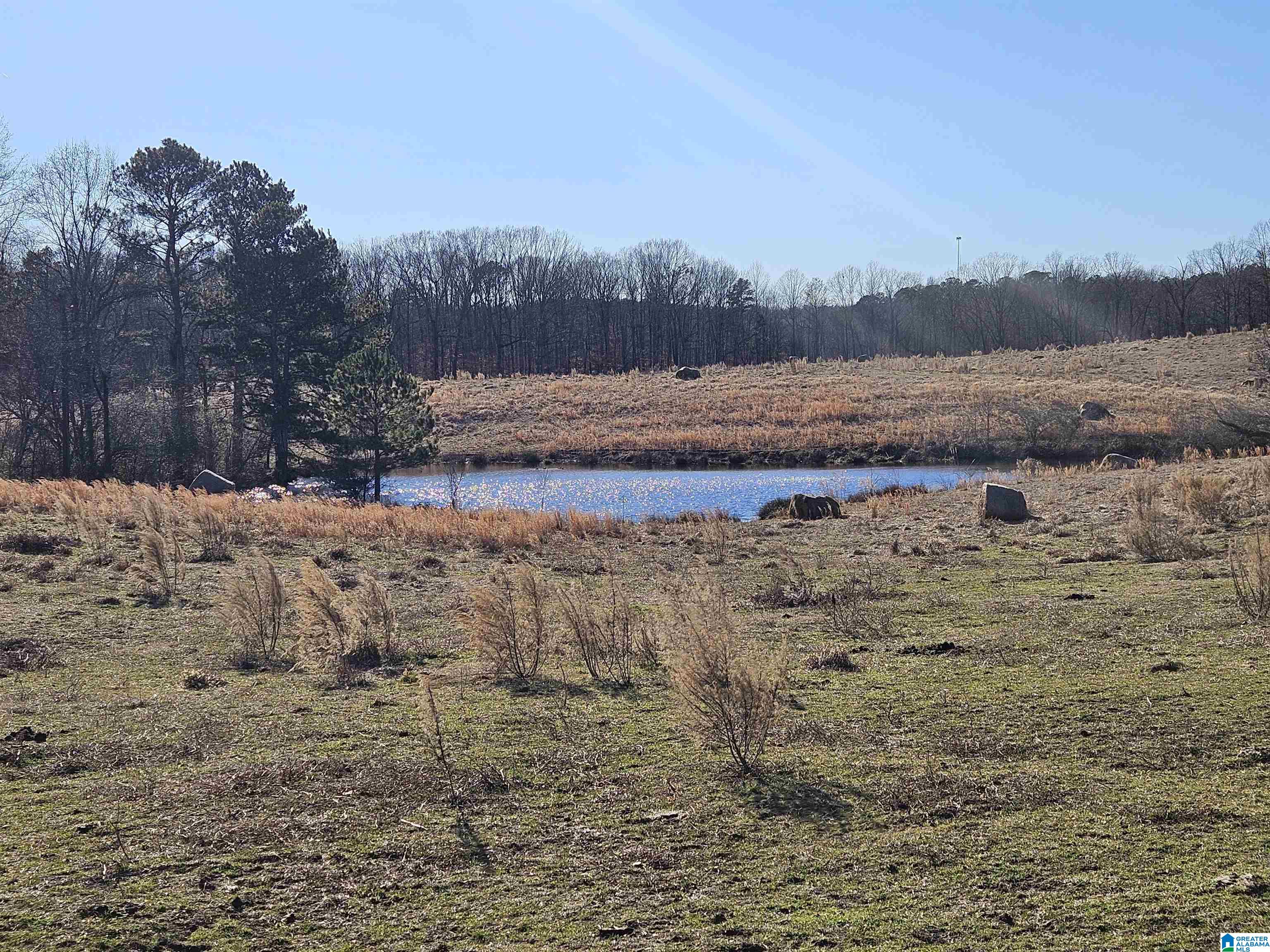 682 County Road 832 Logan, AL 35098 - Photo 5 of 48