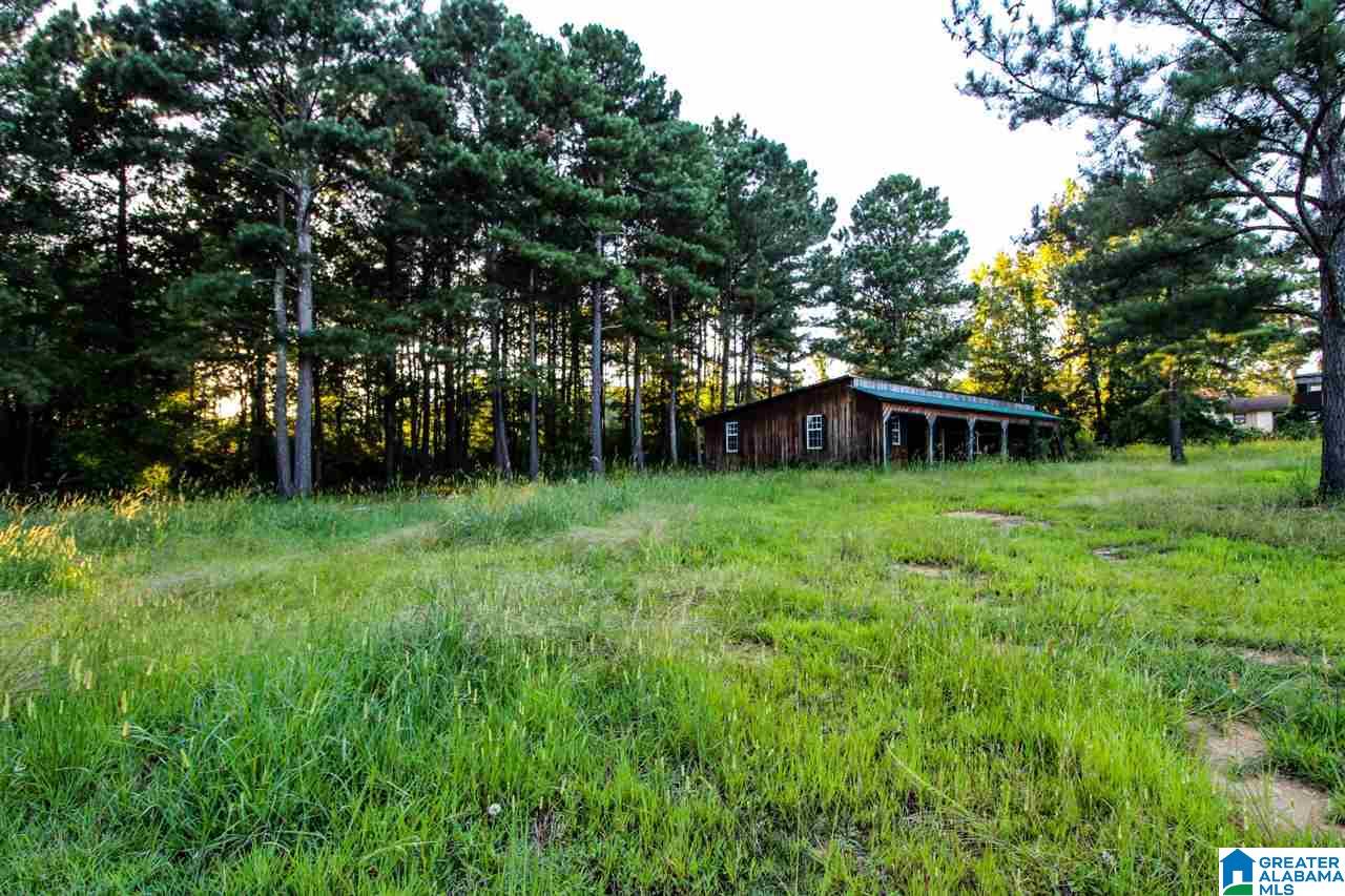 1568 Post Oak Road Alexandria, AL 36250 - Photo 25 of 27