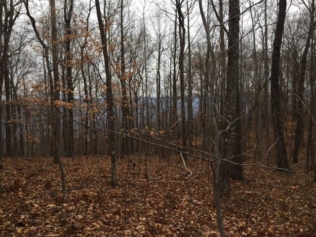 25 Jackson Point Road Sewanee, TN 37375 - Photo 2 of 7 Gallery Image 2