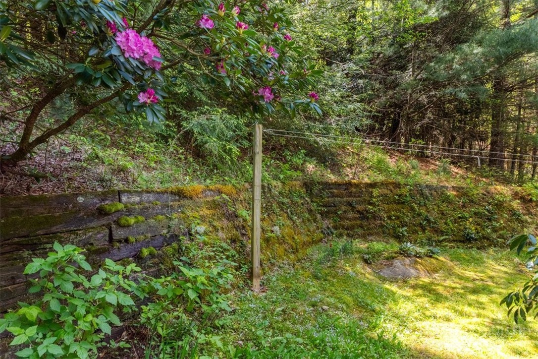 317 Wilderness Trail Sparta, NC 28675 - Photo 32 of 40