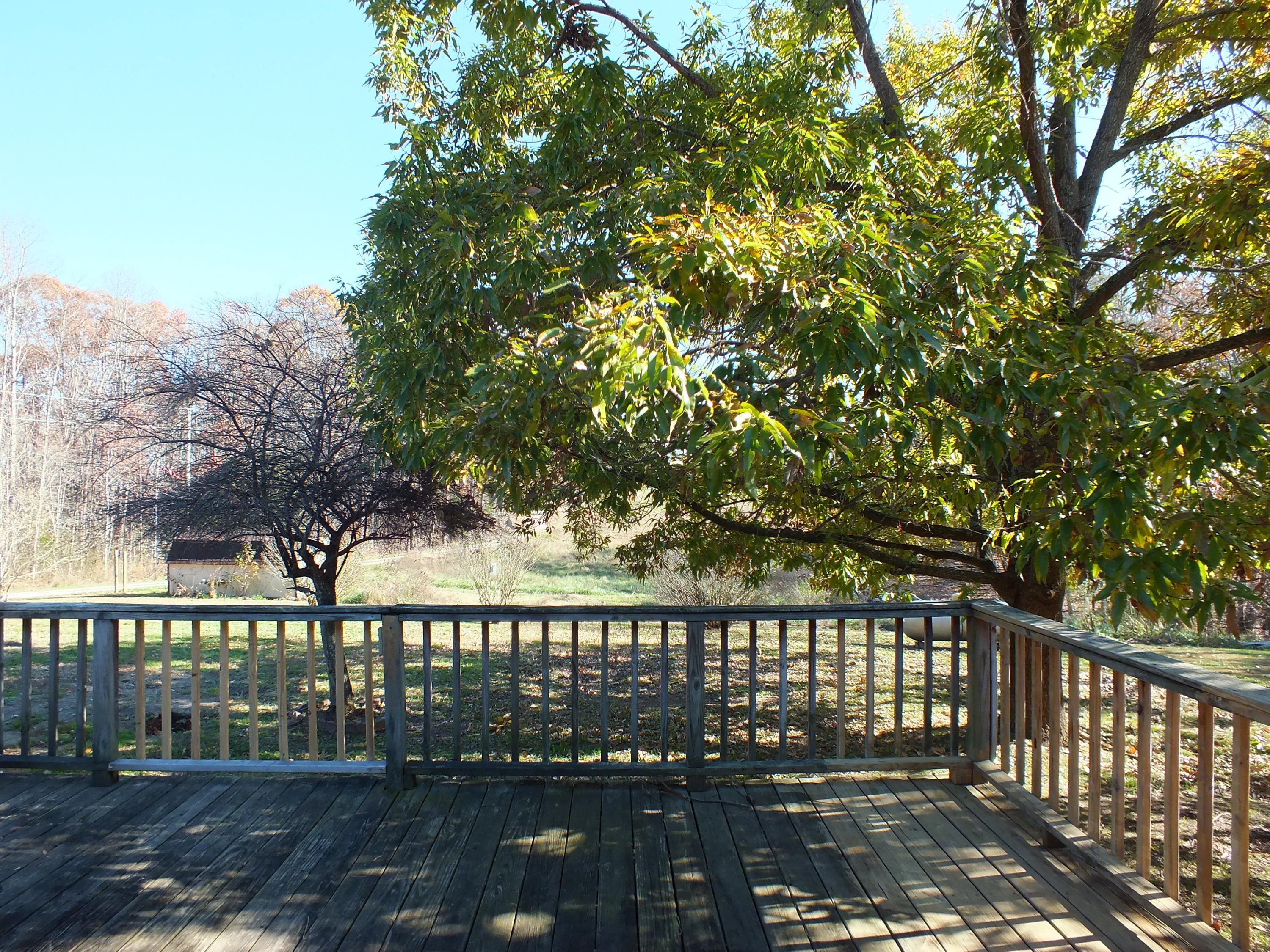 446 Cedar Grove Road Loudon, TN 37774 - Photo 19 of 22 2015_1123CEDAR-GROVE-UPDATED0013