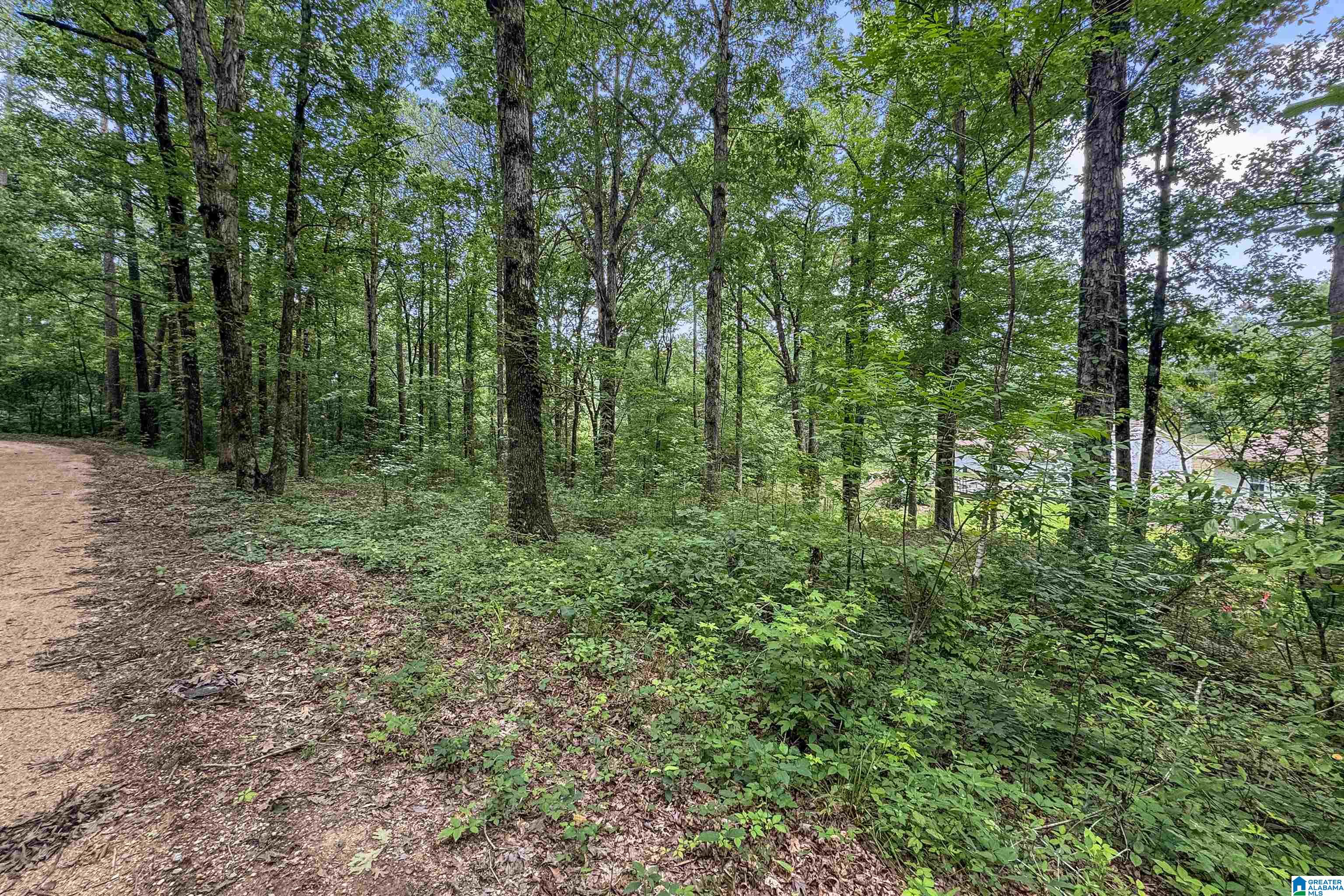 0 Red Oak Circle Helena, AL 35080 - Photo 12 of 21