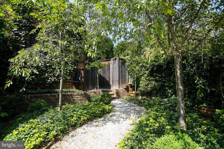 3225 Reservoir Road Northwest Washington, DC 20007 - Photo 14 of 15 Garden