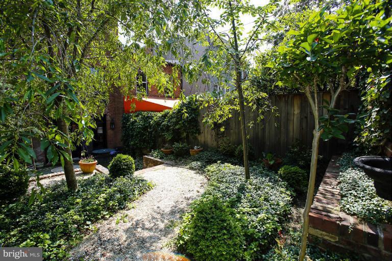 3225 Reservoir Road Northwest Washington, DC 20007 - Photo 7 of 15 Garden