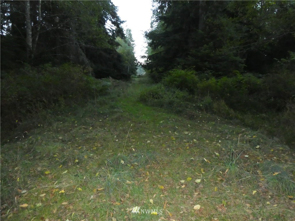 1-xx1 Devries Road Oak Harbor, WA 98277 - Photo 3 of 4 Gallery Image 3