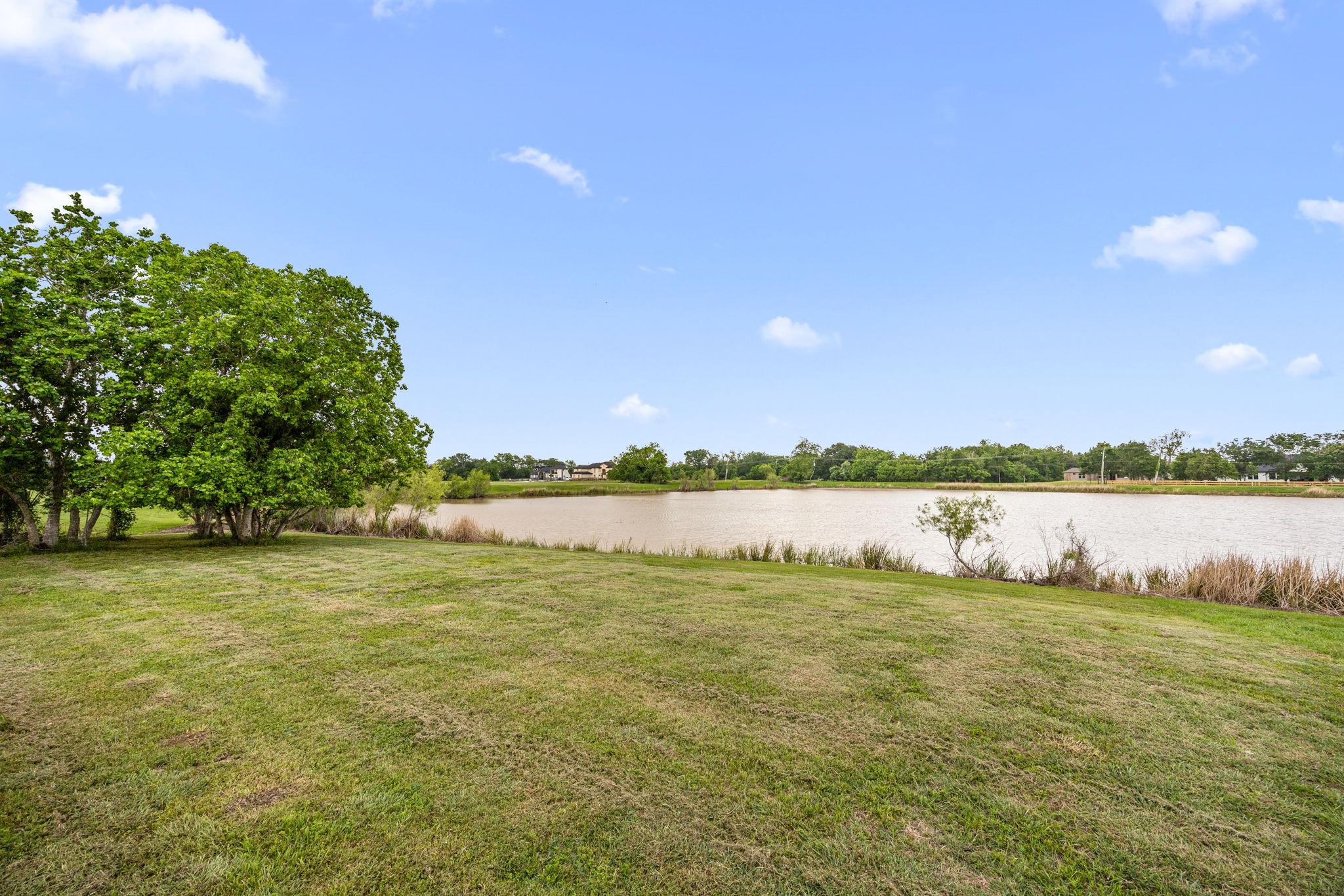 203 Cavalry Trail Drive Rosharon, TX 77583 - Photo 38 of 42