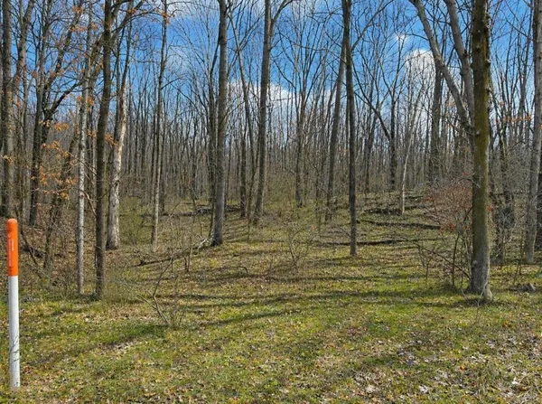 $8,000 | Lot 4 White Birch Lane, Farwell, MI 48622