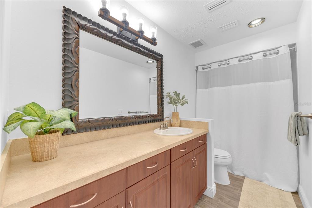 3535 Moores Lake Road Dover, FL 33527 - Photo 30 of 85 Bathroom 2 has a tub/shower, updated lighting and mirror, and a large vanity with a lot of cabinet space.