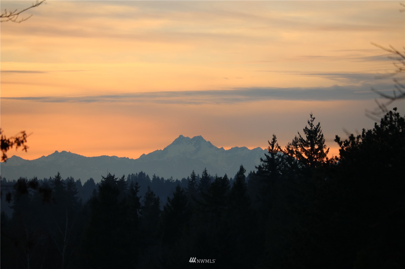 20104 103rd Place Northeast Bothell, WA 98011 - Photo 39 of 40