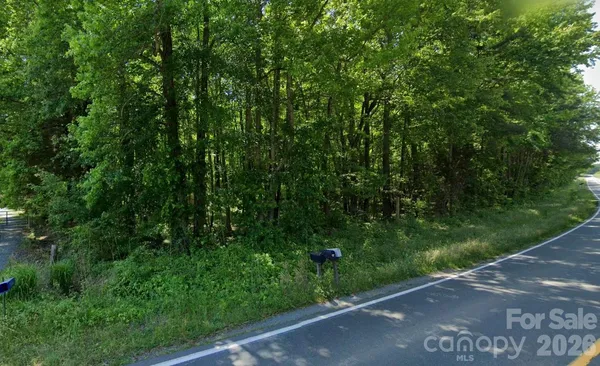 a view of a yard with plants and a small yard
