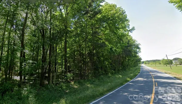 a view of a forest with a tree