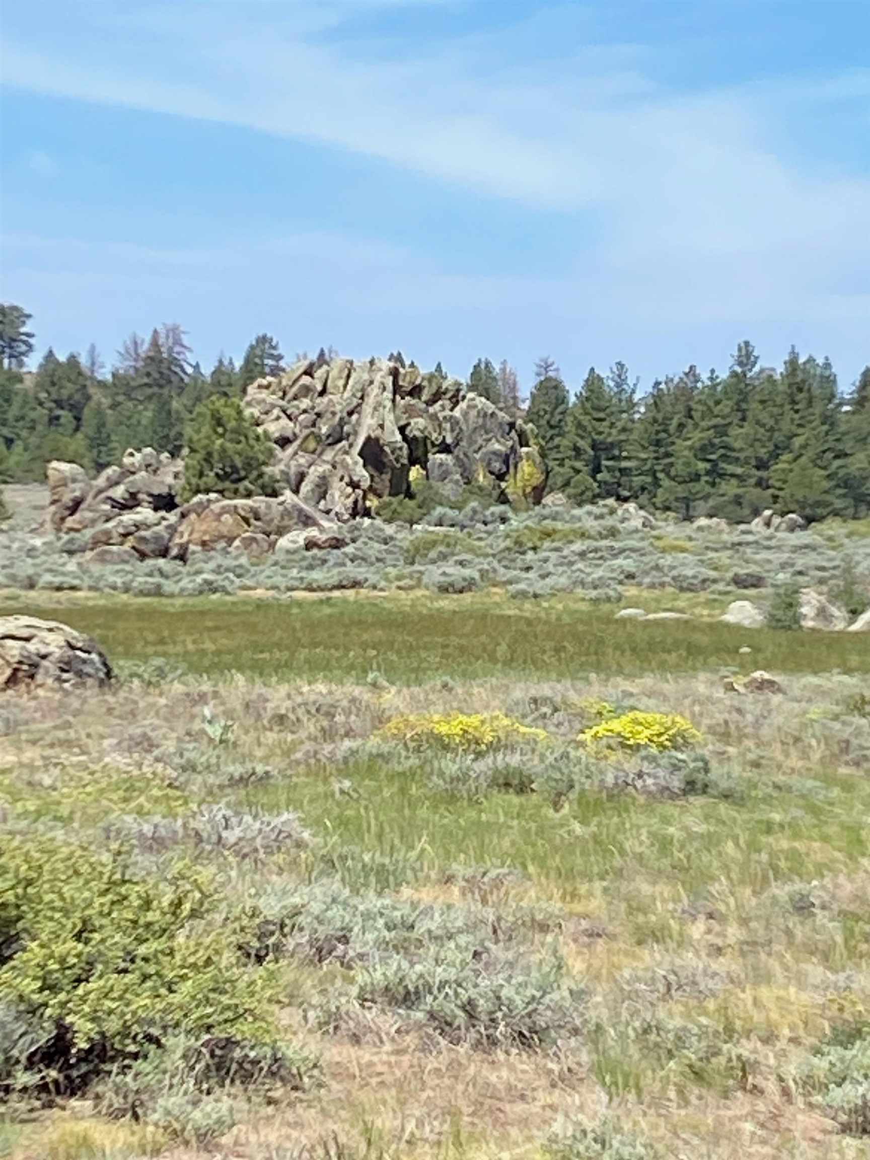 Xxxx Doyle Grade Road Doyle, CA 96109 - Photo 9 of 10