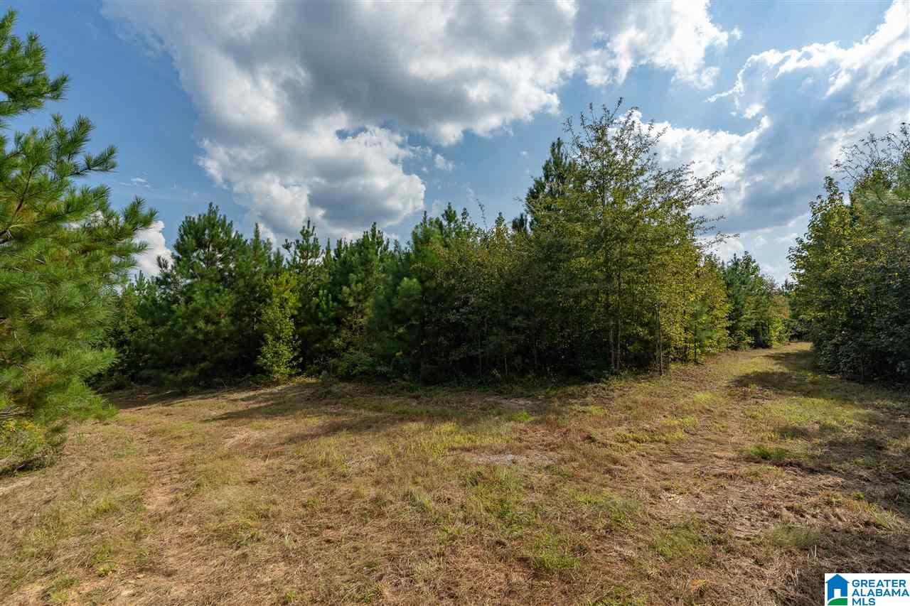 8967 Highway 55, Unit 2 & 3 Sterrett, AL 35147 - Photo 15 of 23