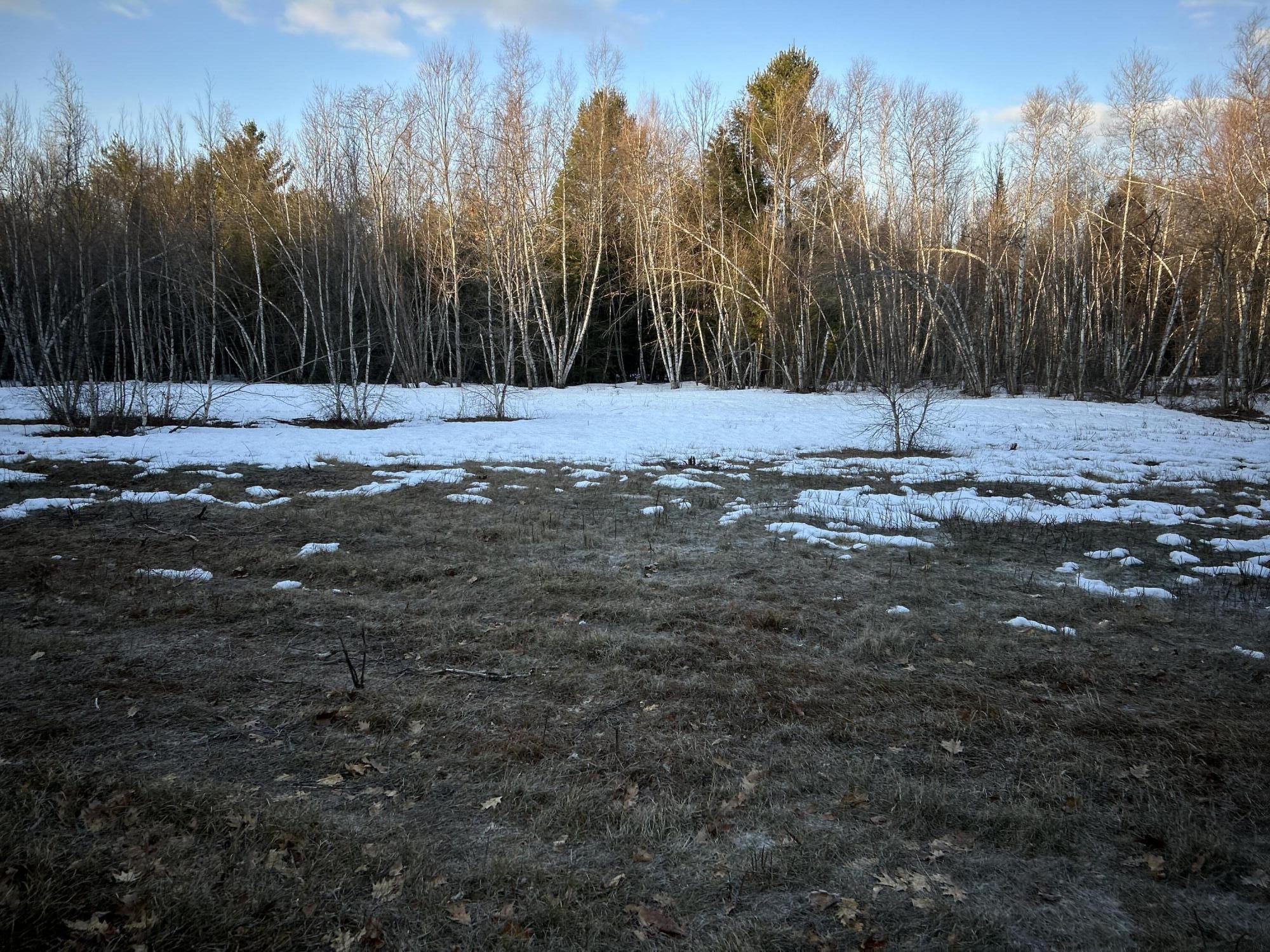 Map13-lot11 Field View Road Fryeburg, ME 04037 - Photo 29 of 37