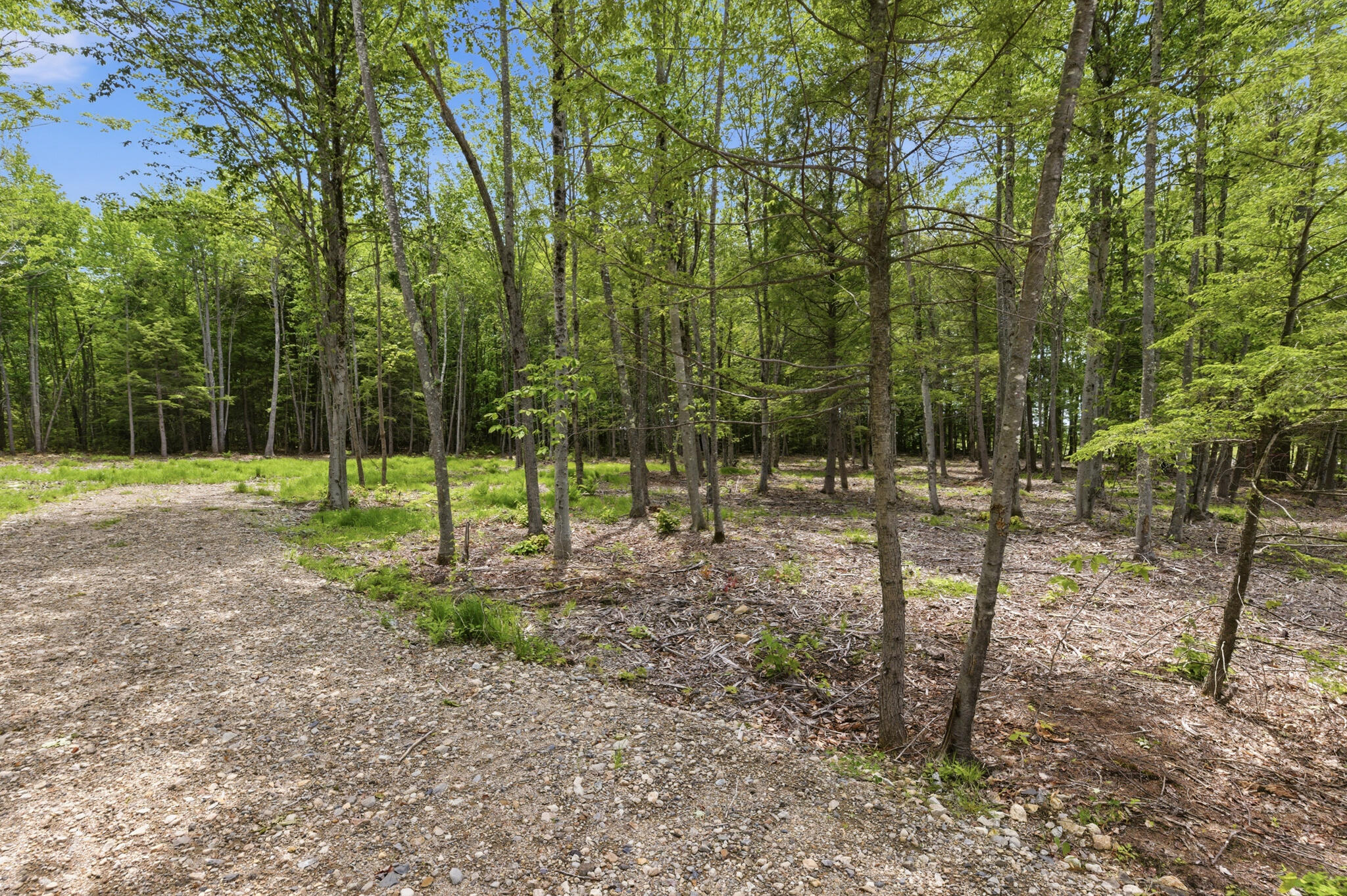 0 Buzzell Road Acton, ME 04001 - Photo 9 of 17 20