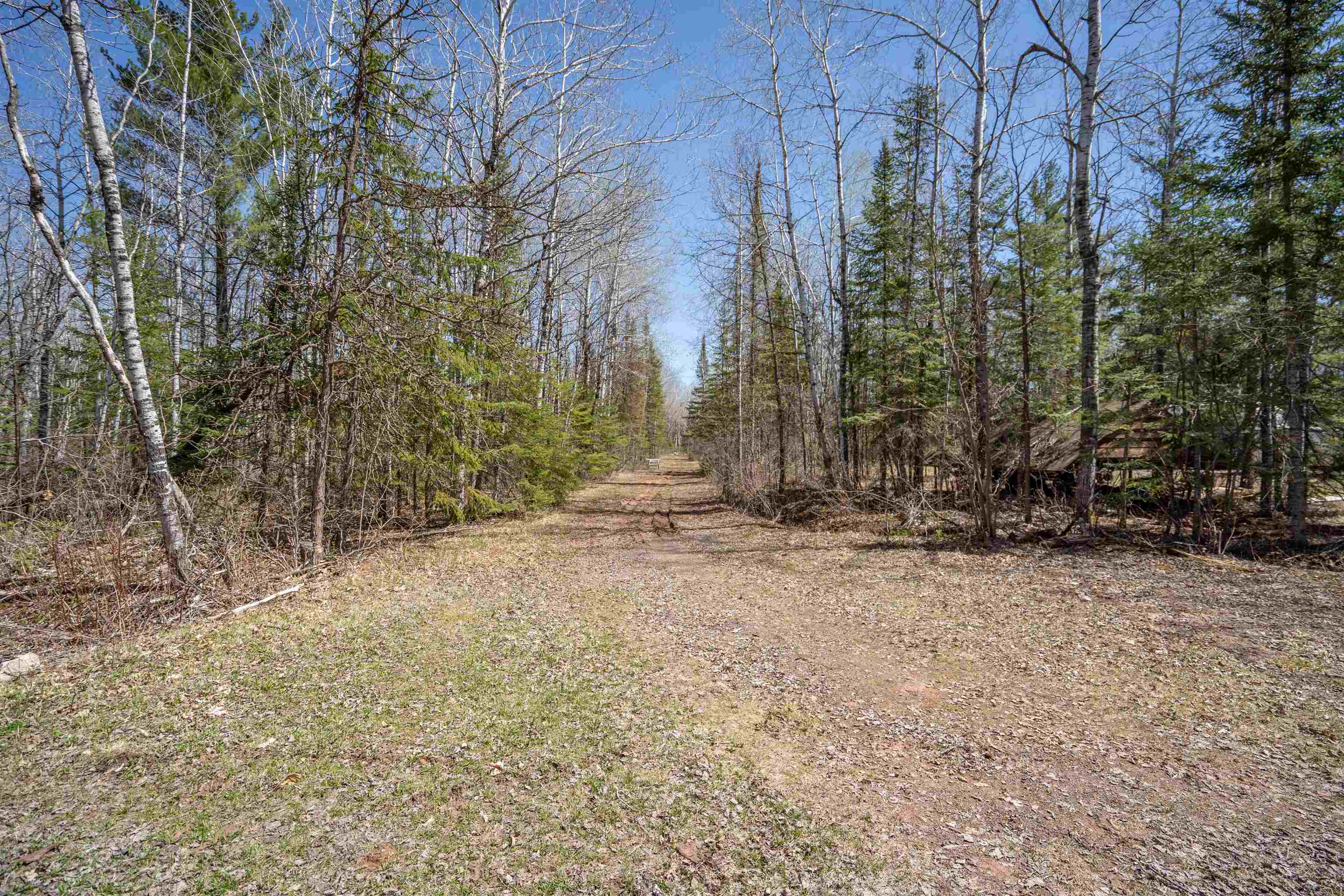 6960 South County Rd B Foxboro, WI 54836 - Photo 21 of 28 View of yard