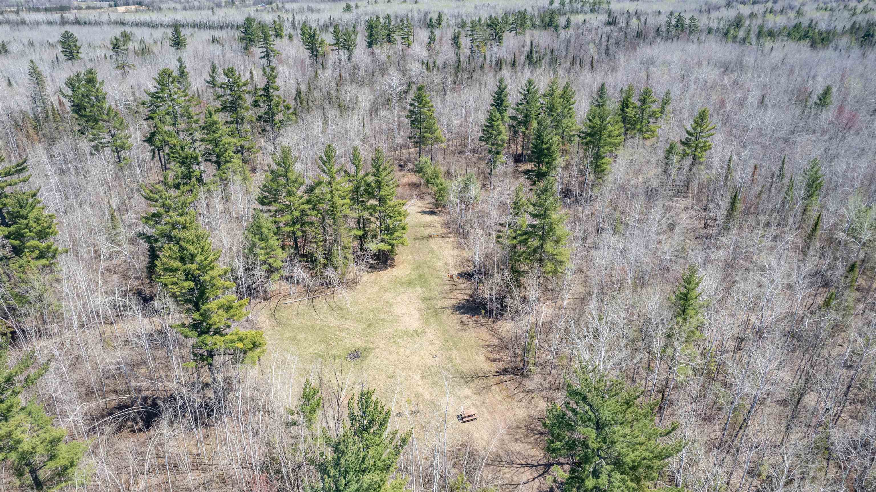 6960 South County Rd B Foxboro, WI 54836 - Photo 26 of 28 Potential Food Plot