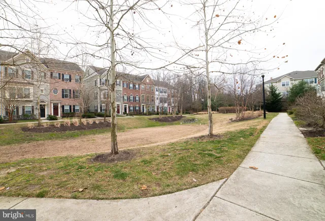 a view of a park with large trees