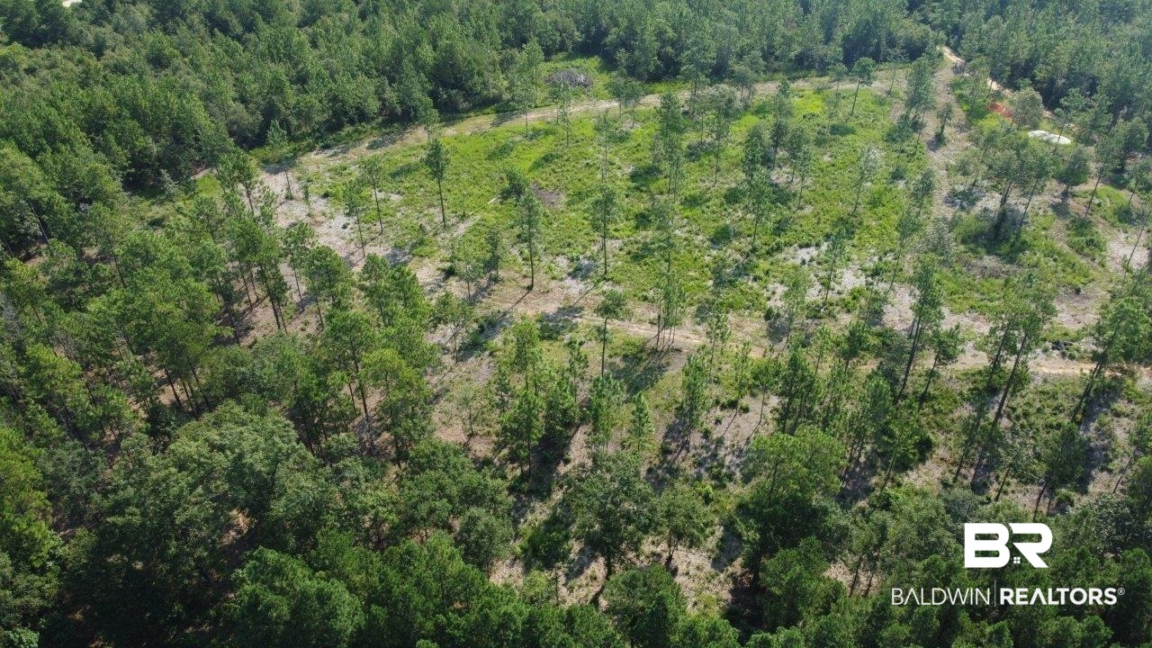 0 Jerkins Loop Atmore, AL 36502 - Photo 48 of 50