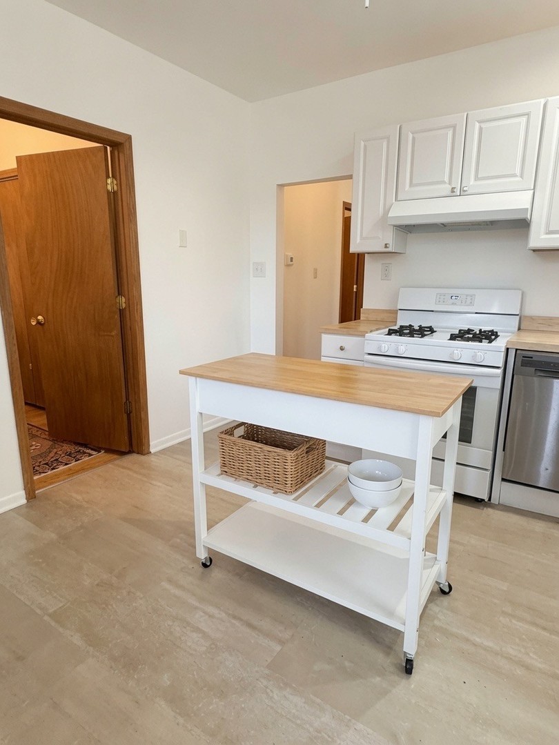 921 South Bishop Street, Unit 2 Chicago, IL 60607 - Photo 11 of 14 a kitchen with white cabinets and white appliances