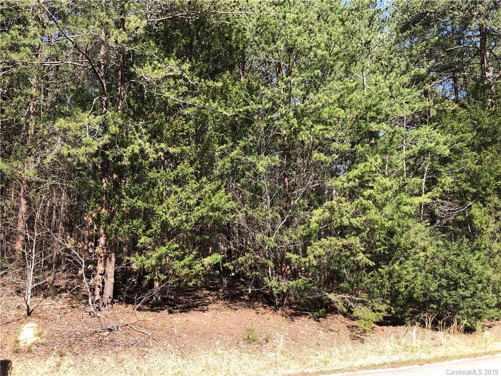 Lot 9 Ormand Road, Unit 9 York, SC 29745 - Photo 4 of 6 Gallery Image 4