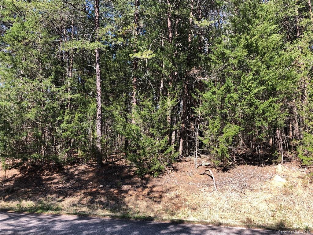Lot 9 Ormand Road, Unit 9 York, SC 29745 - Photo 5 of 6 Gallery Image 5