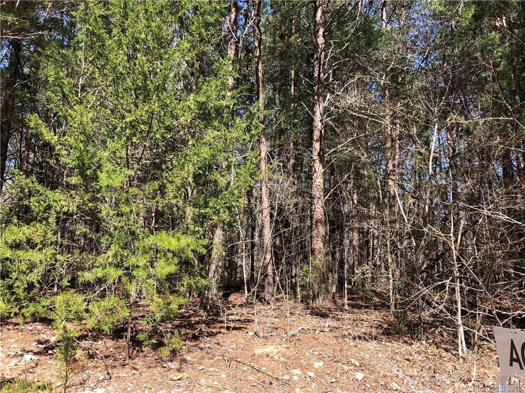 Lot 9 Ormand Road, Unit 9 York, SC 29745 - Photo 6 of 6 Gallery Image 6