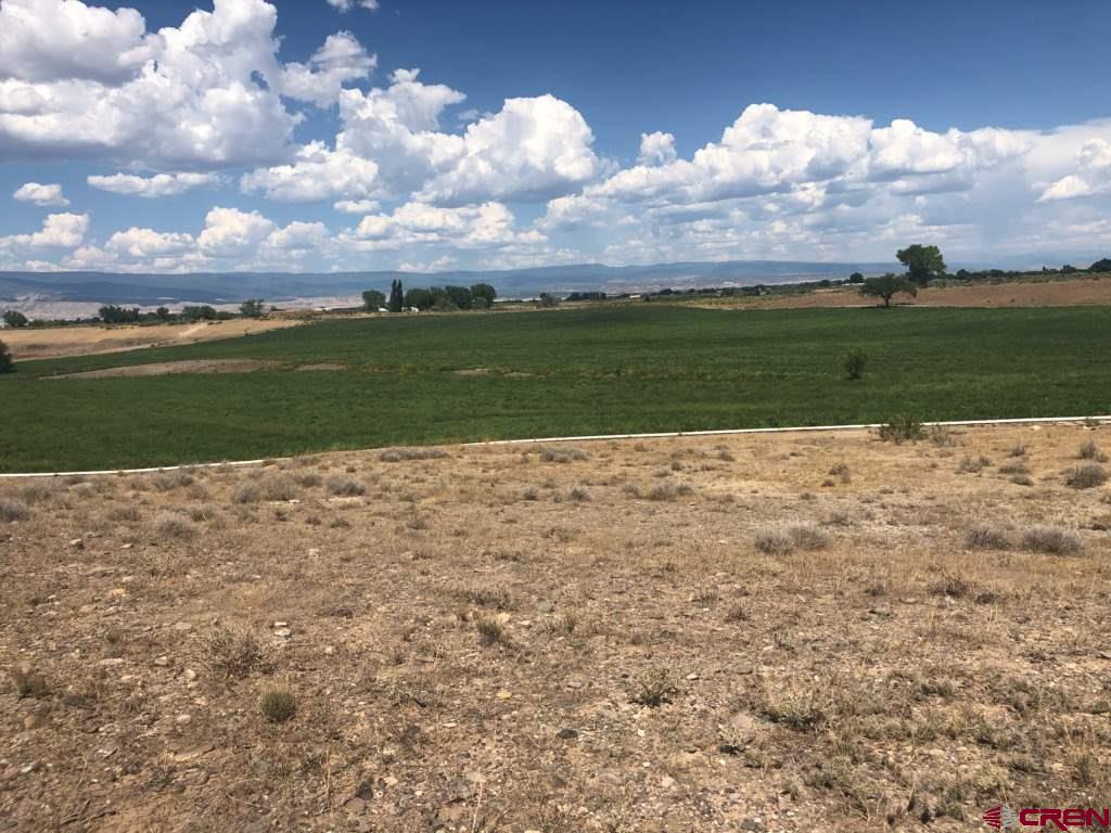 Tbd Tbd 1300th Road Delta, CO 81416 - Photo 2 of 5