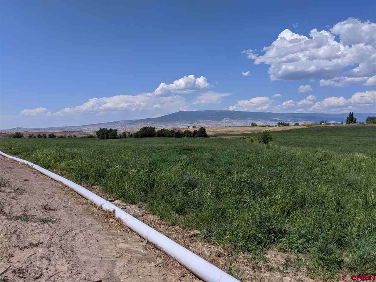 Tbd Tbd 1300th Road Delta, CO 81416 - Photo 3 of 5