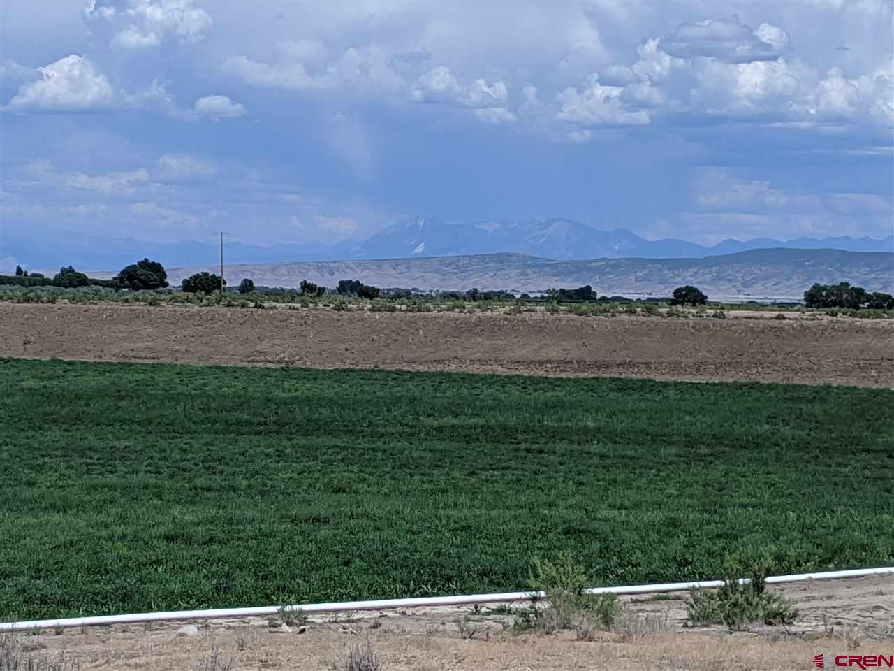 Tbd Tbd 1300th Road Delta, CO 81416 - Photo 4 of 5