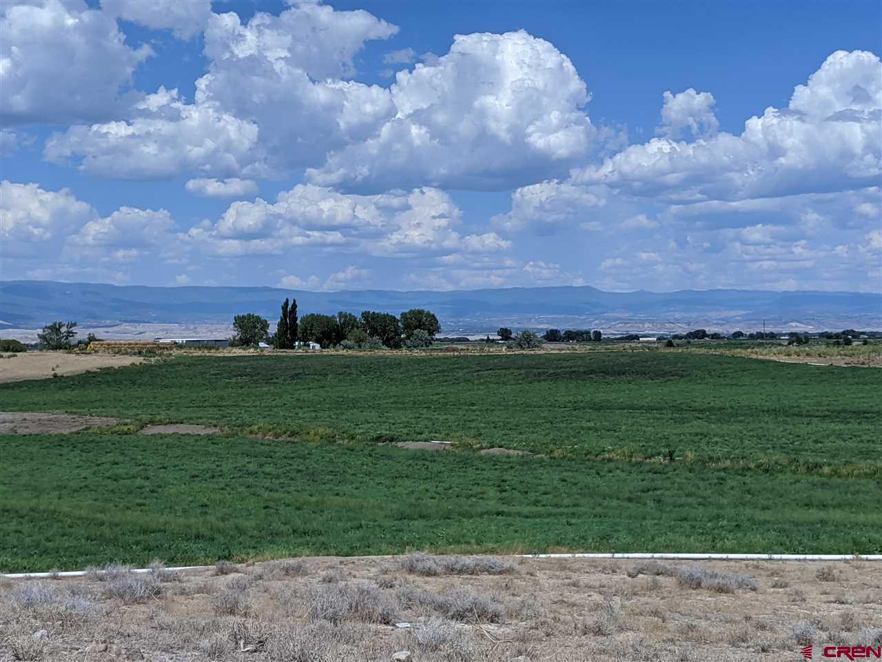 Tbd Tbd 1300th Road Delta, CO 81416 - Photo 5 of 5