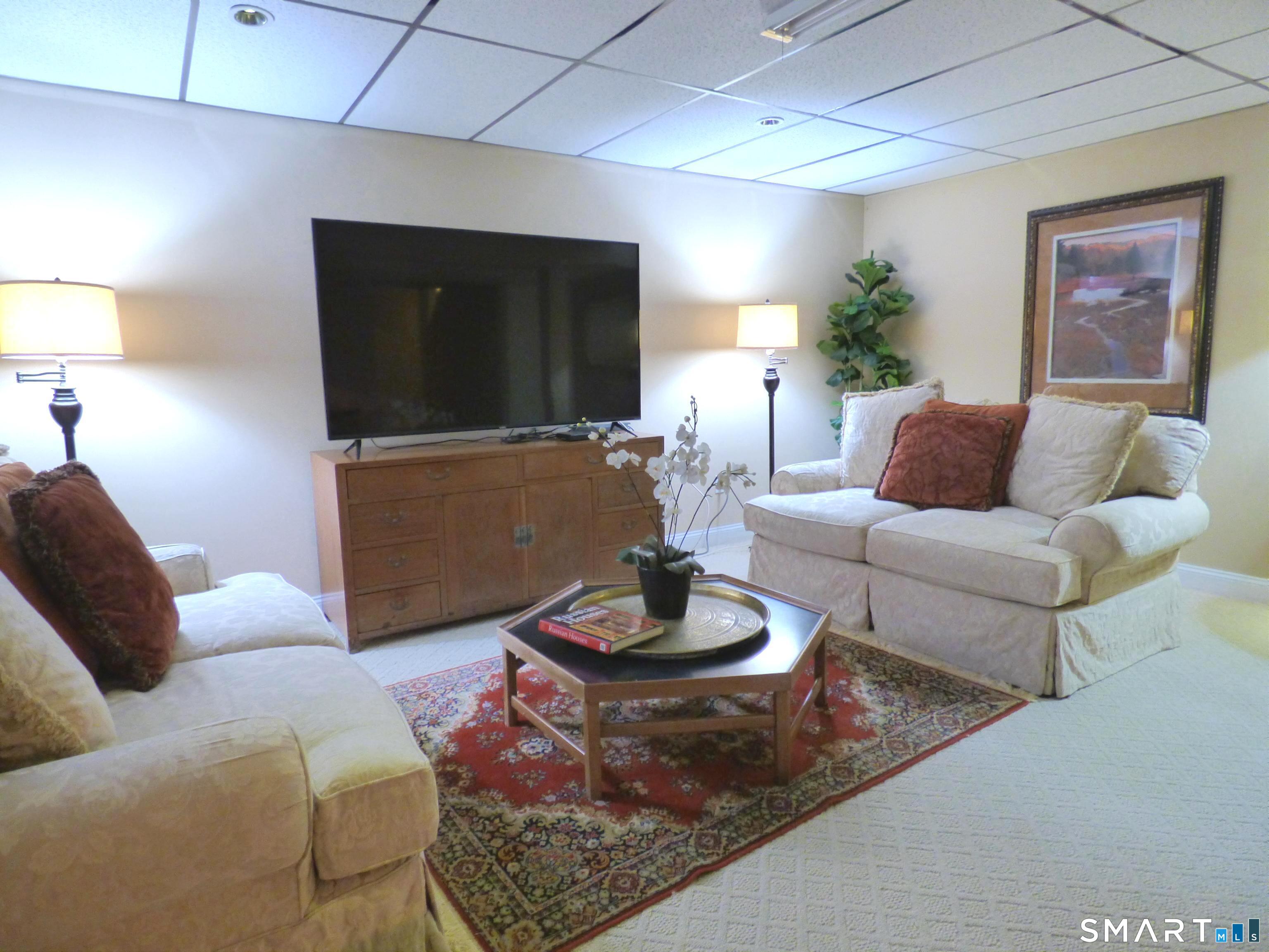 111 Logging Trail Road, Unit 111 Danbury, CT 06811 - Photo 24 of 34 Lower Level Family Room