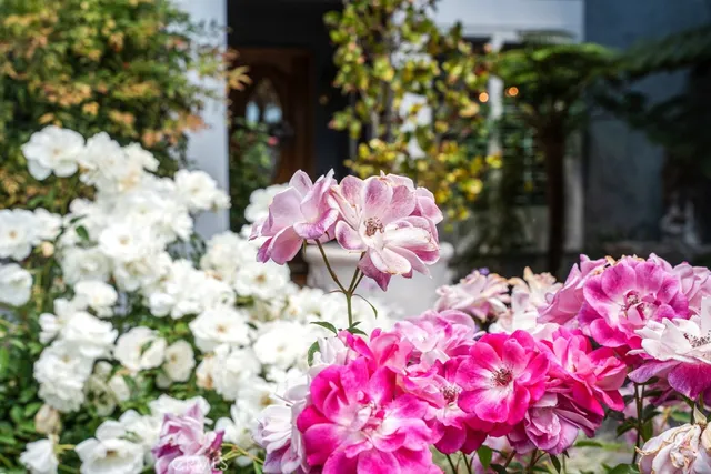 $1,699,000 | 6505 Smoke Tree Avenue, Oak Park, CA 91377