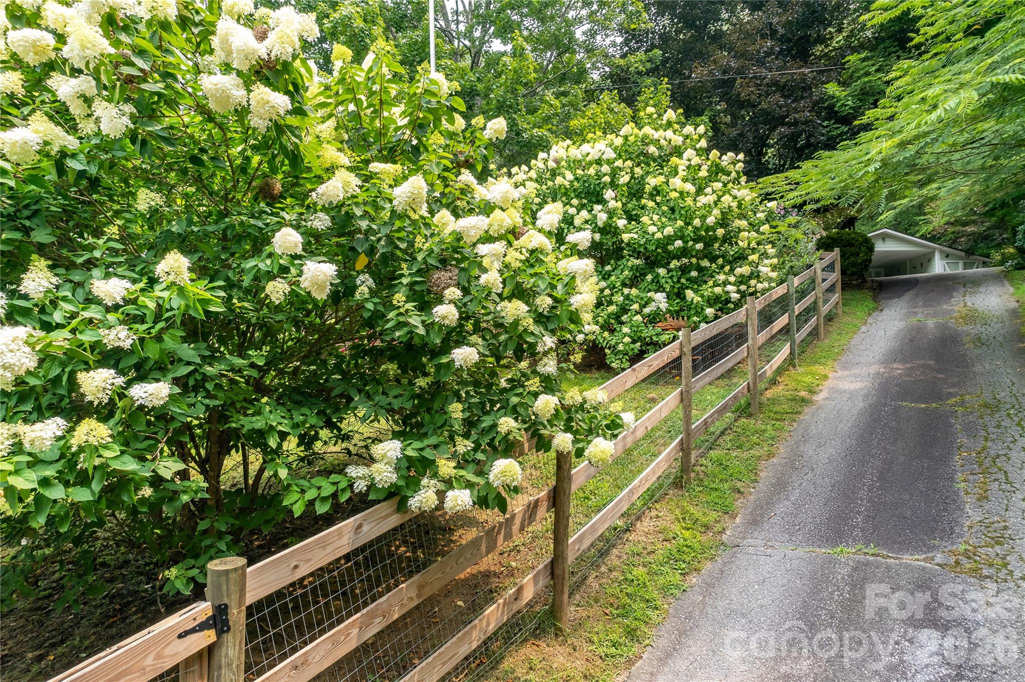 74 Huntley Road Fletcher, NC 28732 - Photo 12 of 45 a view of a yard with potted plants
