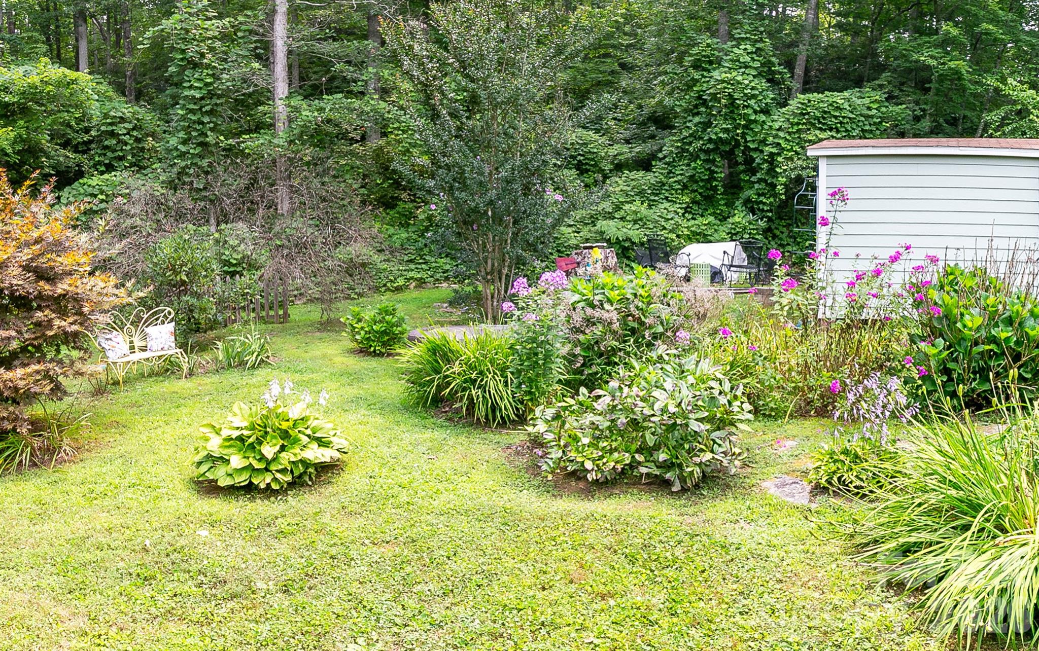 74 Huntley Road Fletcher, NC 28732 - Photo 38 of 45 a view of a garden with plants and large trees
